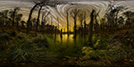 Schorfheide nachts Düsterer Possenberg 2 Astrofotografie
