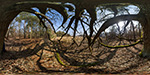 Metzelthin Landschaft Feldmark Baum