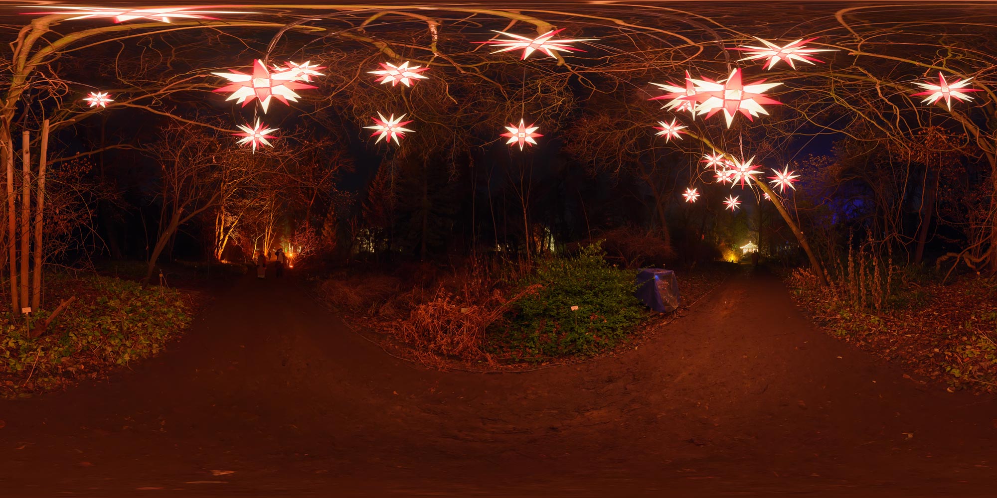 Panorama Berlin Botanischer Garten nachts - Christmas Garden - Sterne im Baum