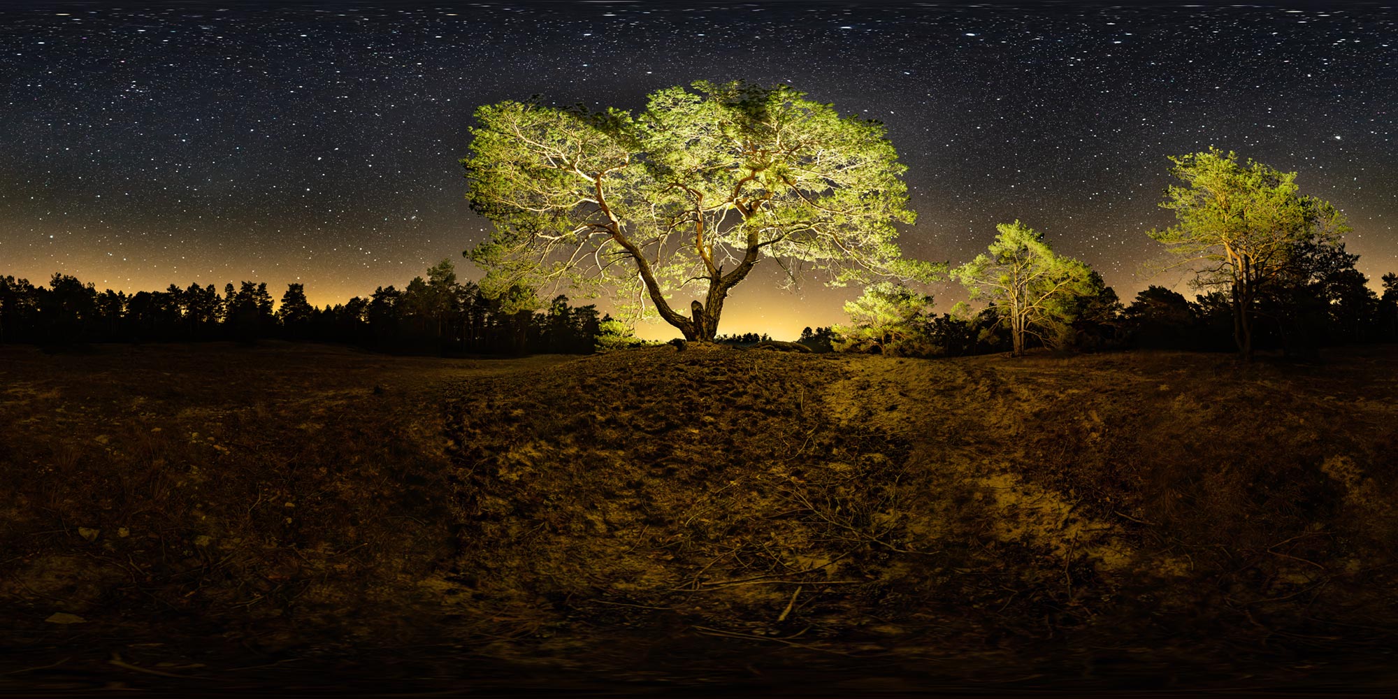Panorama  Forst Dornswalde nachts - Weiße Sandberge Astrofotografie