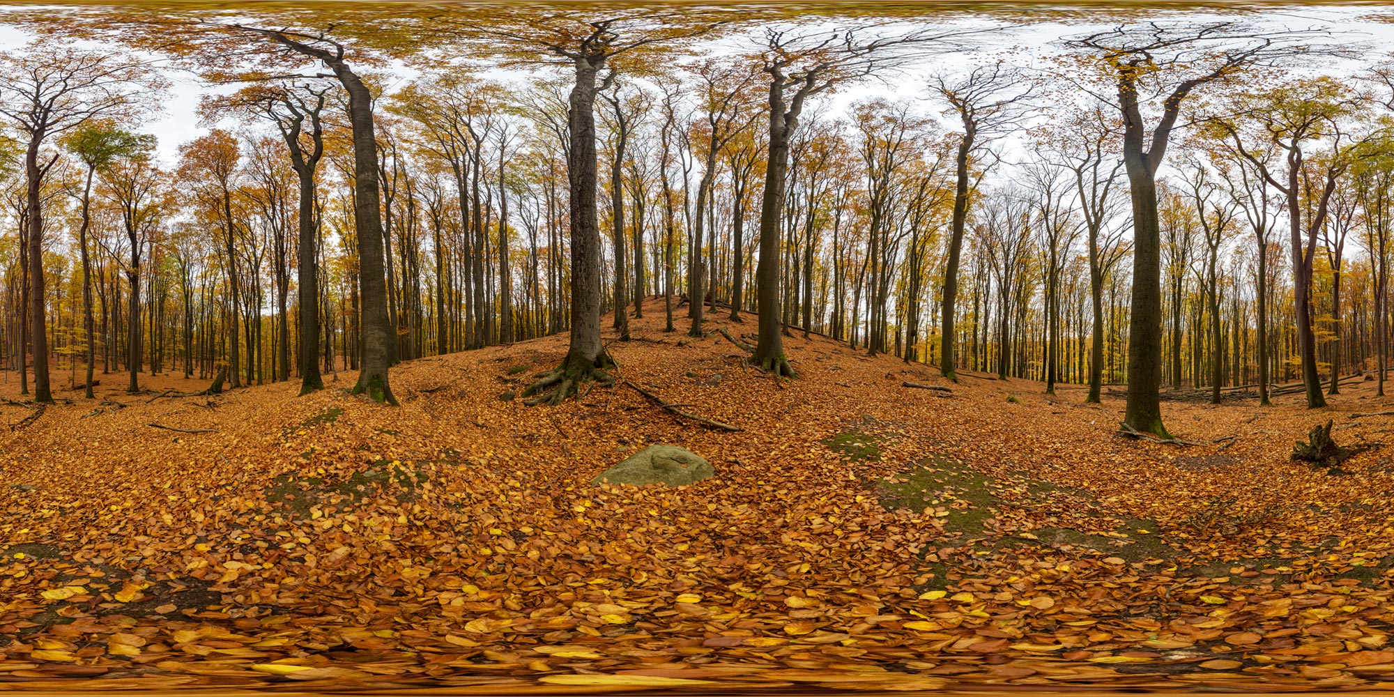 Panorama  Schorfheide - Grumsiner Forst - Blocksberg 1