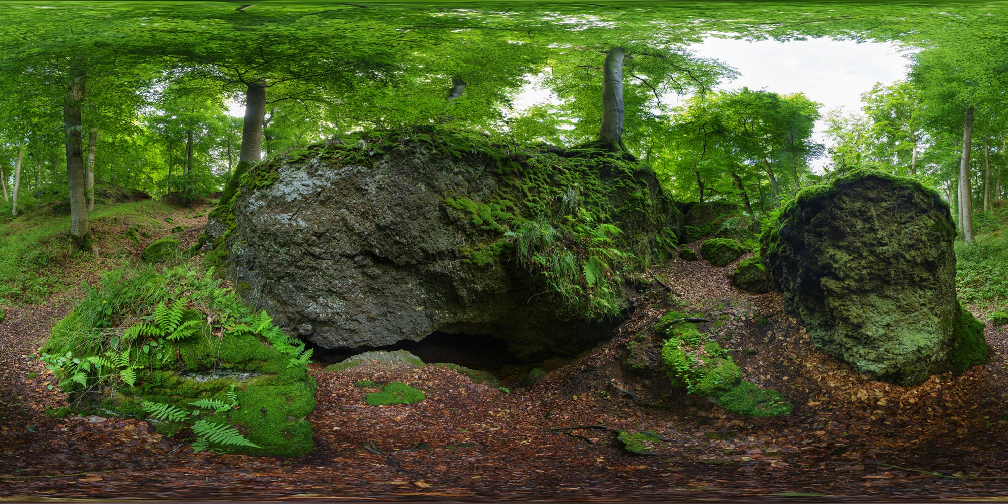 Panorama  Mühlsteinhöhlen bei Hohenfels - Mühlenhöhle Zugang