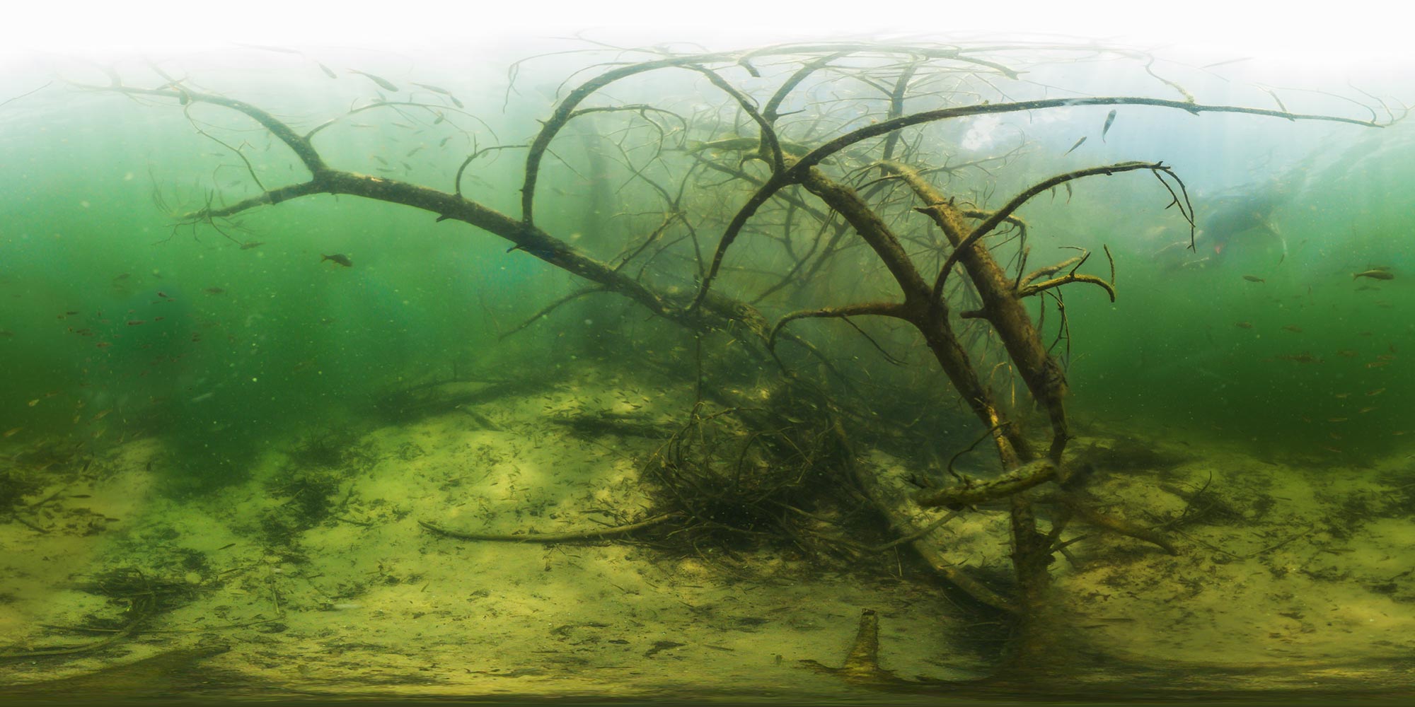 Panorama  Bestensee Tonseen Unterwasser - Klein-Köris Tonsee 2 Unterwasser