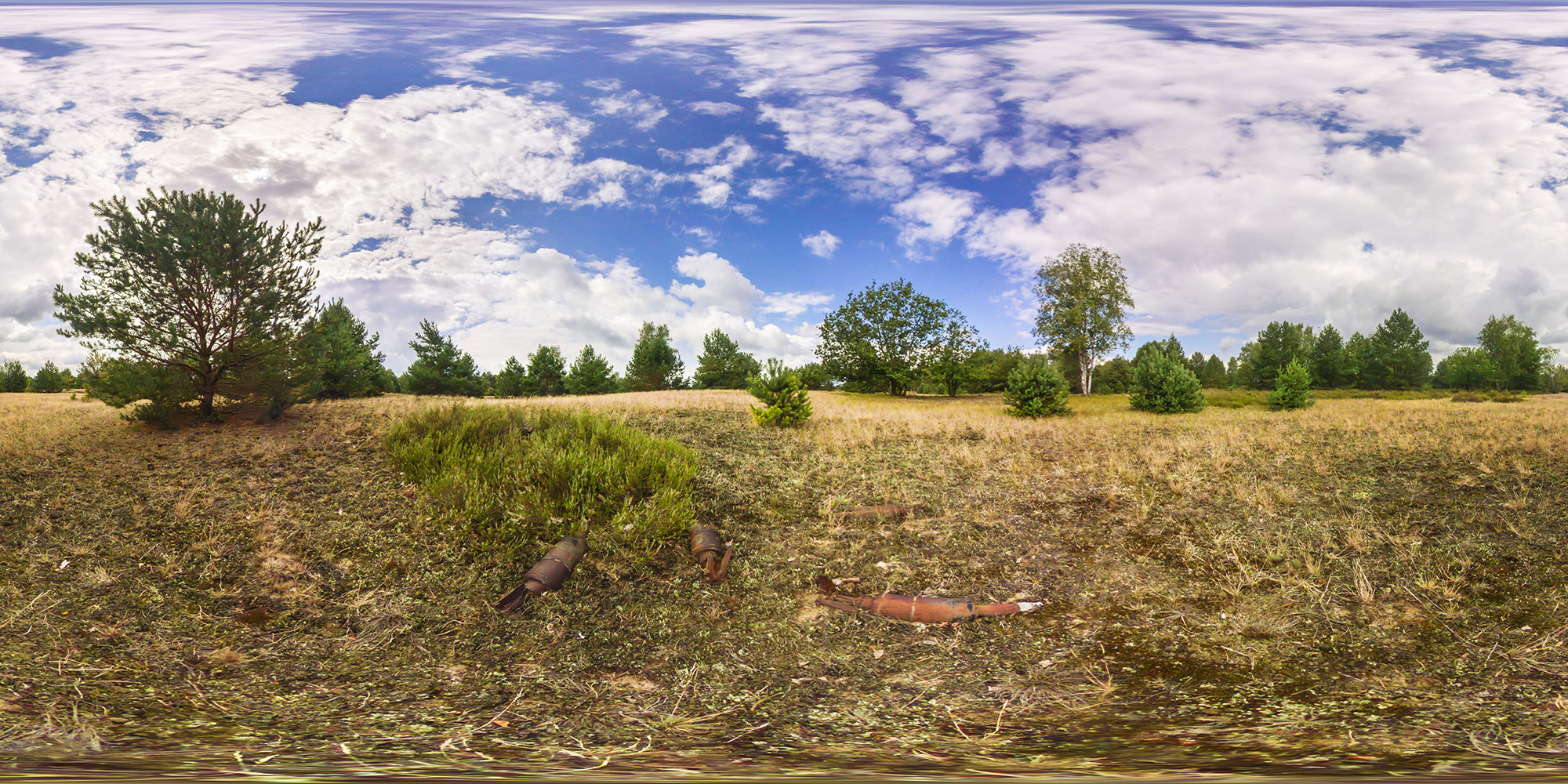 Panorama  Jänickendorfer Heide - Zielbereich 4