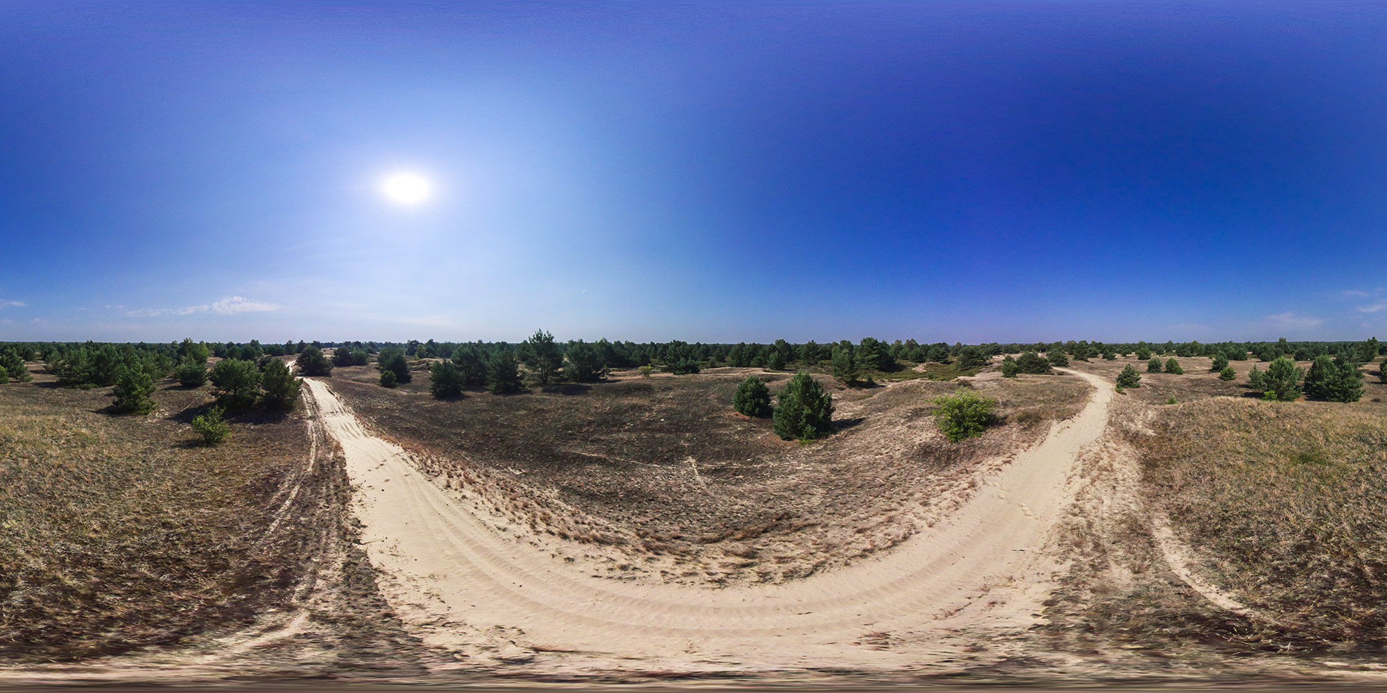 Panorama  Wurzelberge bei Luckenwalde - Aussicht Weg