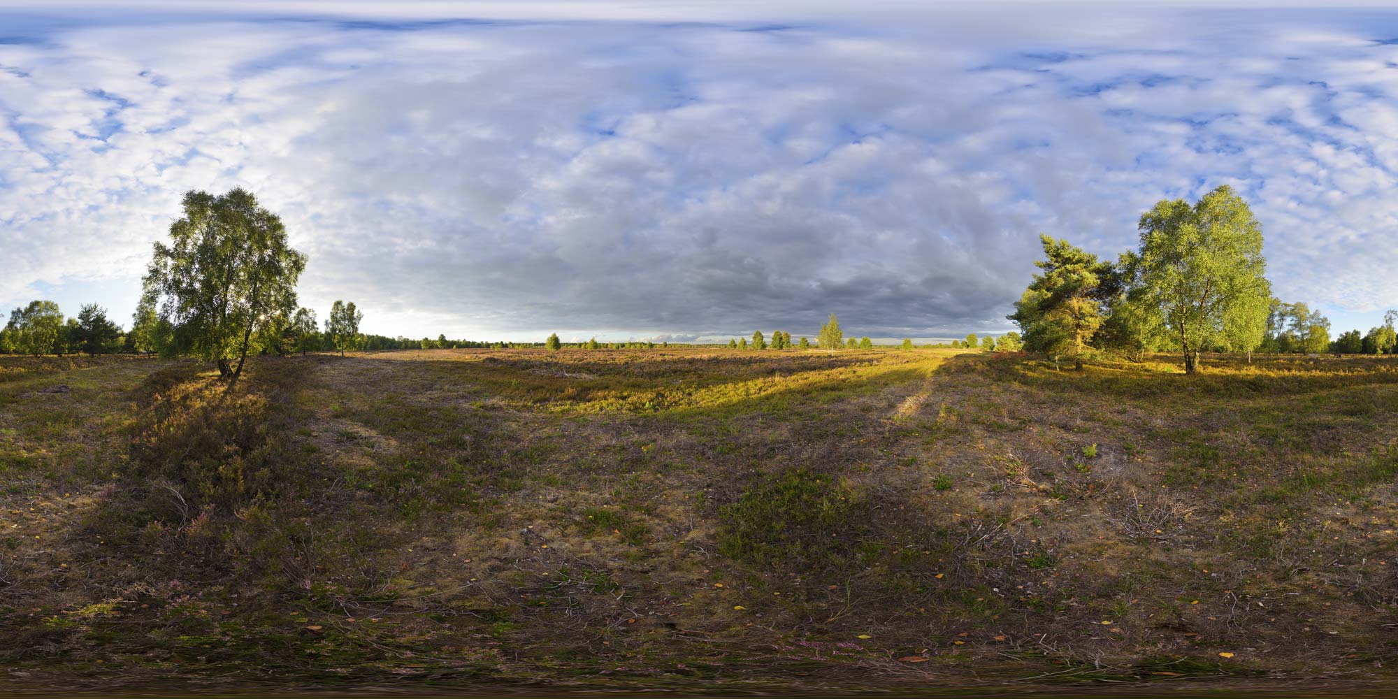 Panorama  Lüneburger Heide - Osterheide - bei Schneeverdingen
