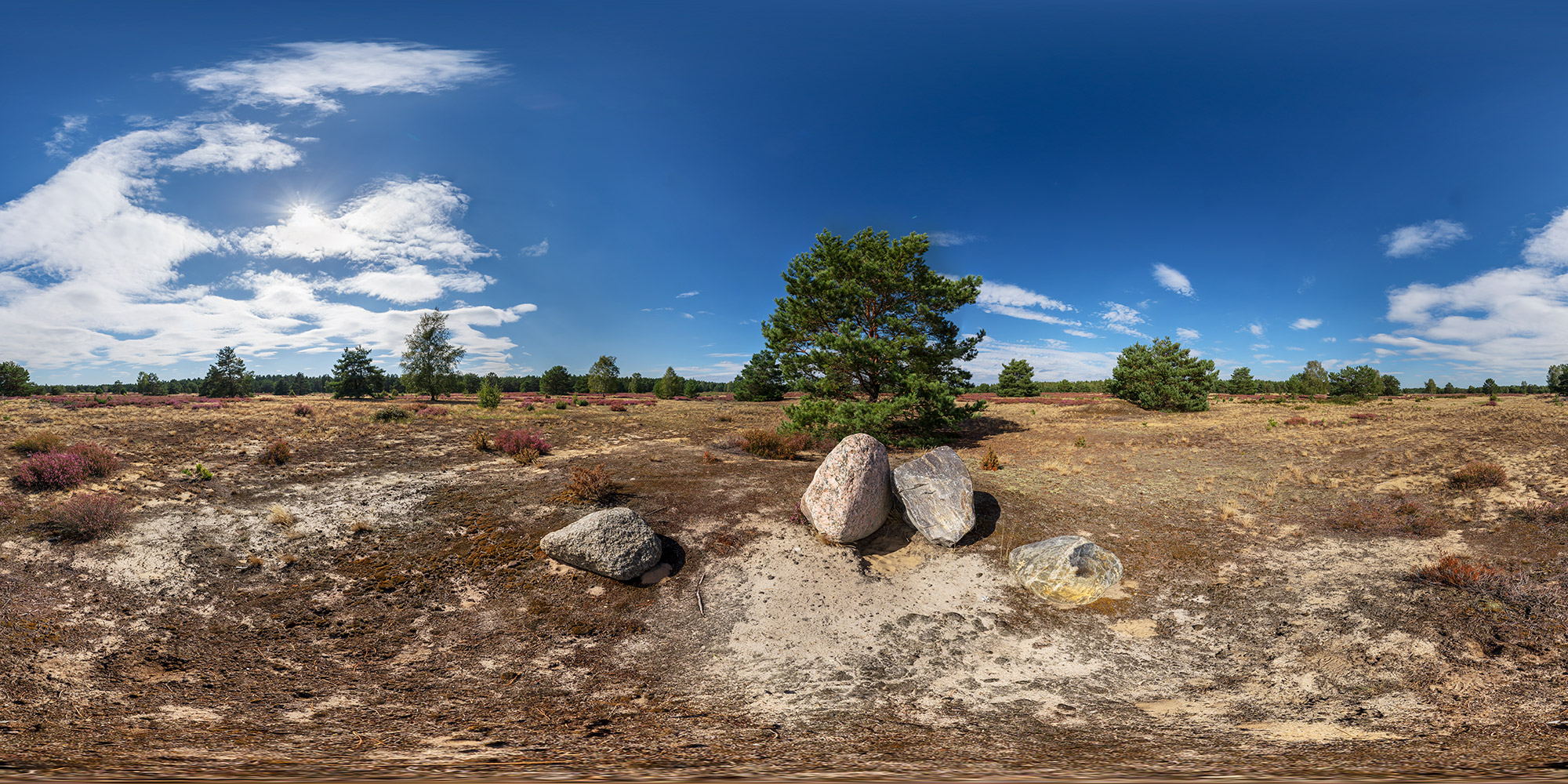 Panorama  Massow Heide Wacholderberge - Findlinge 2
