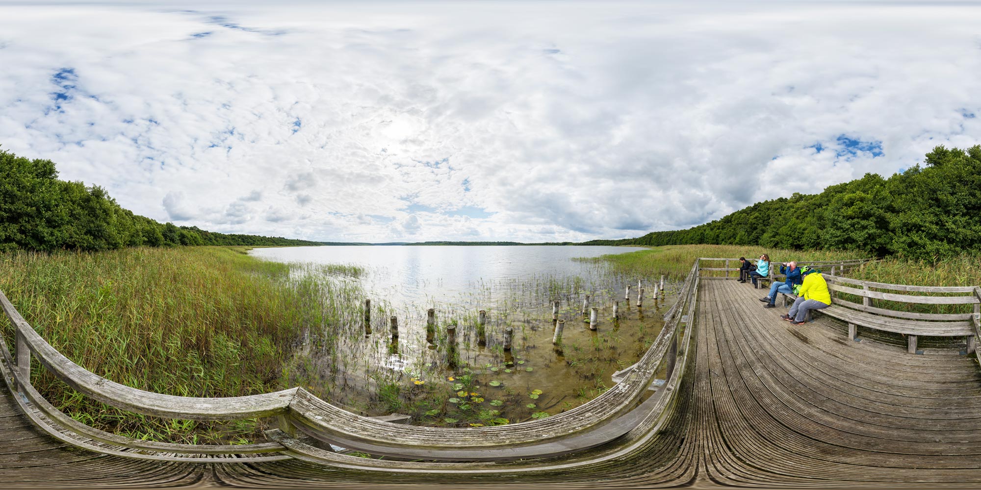Panorama  Müritz Nationalpark - Priesterbaker See