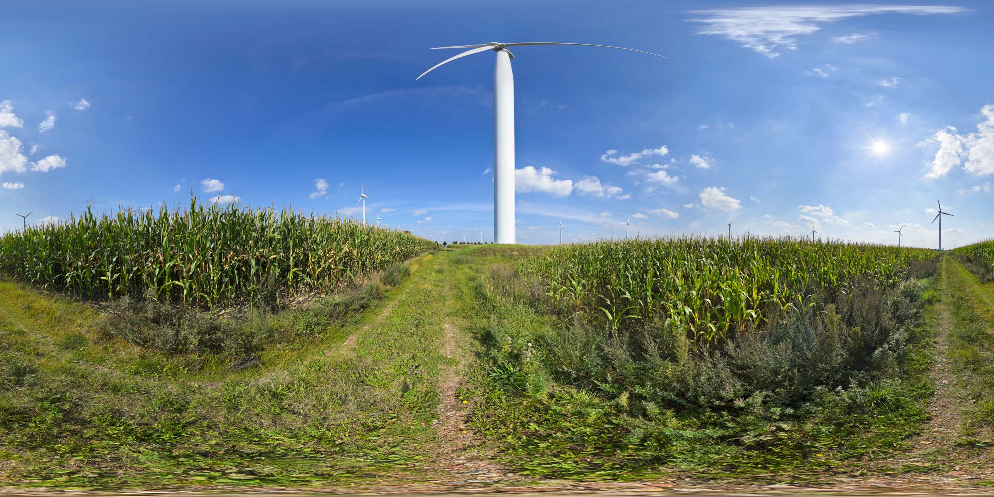 Panorama  Nauen - Windpark - Windrad 1