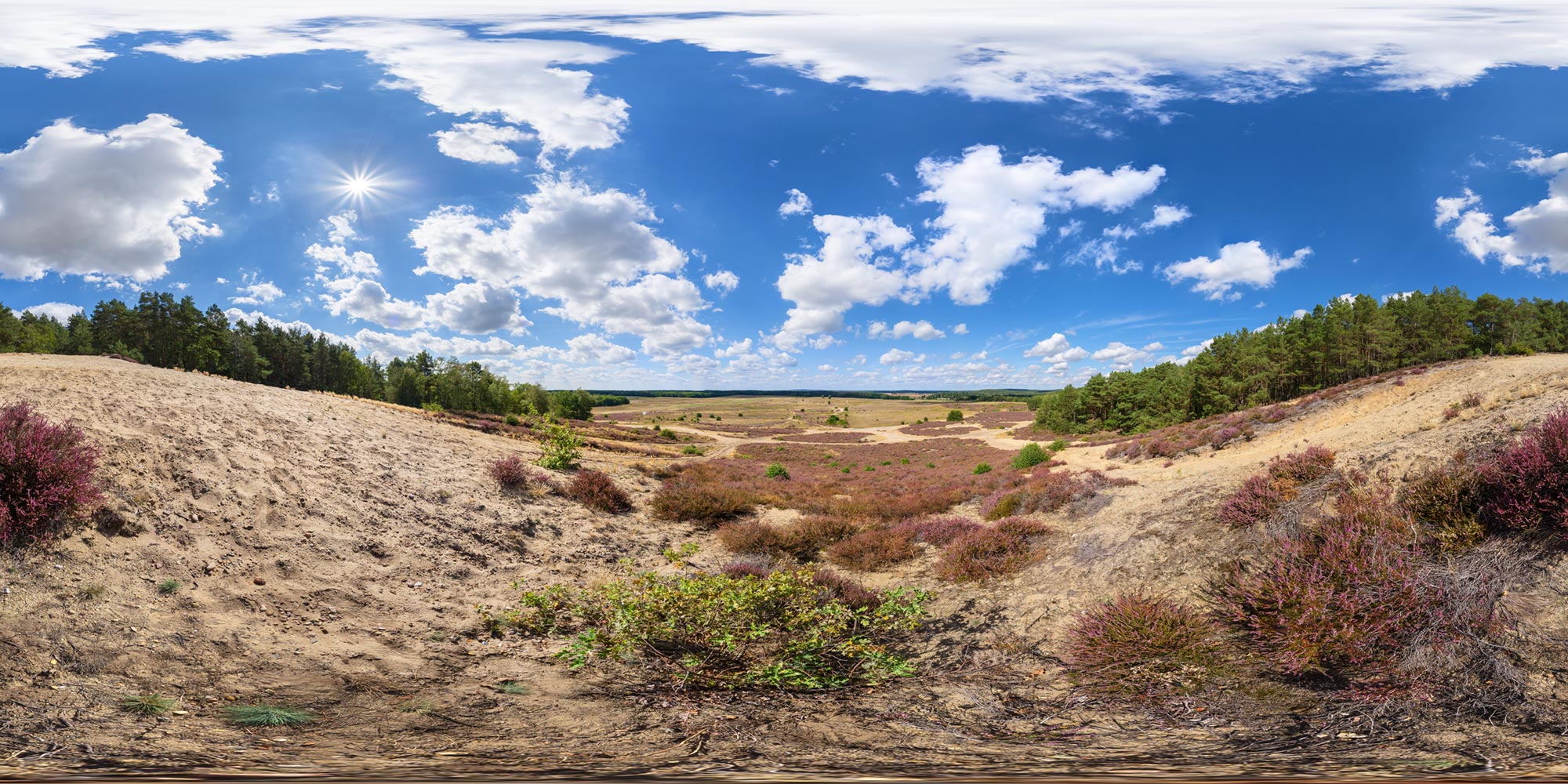 Panorama  Saarmund Heide - Saarmunder Berg Aussicht