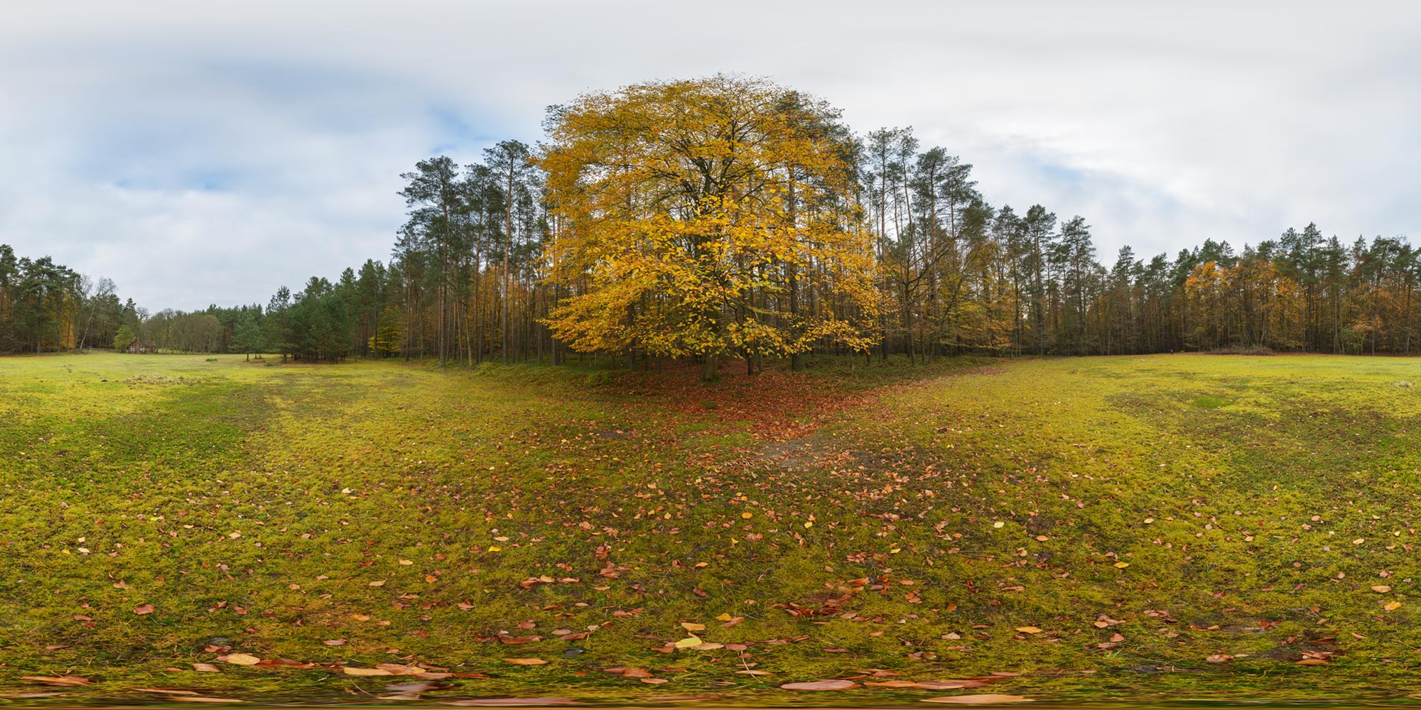 Panorama  Serrahner Buchenwald - Heckenwärterhaus 2