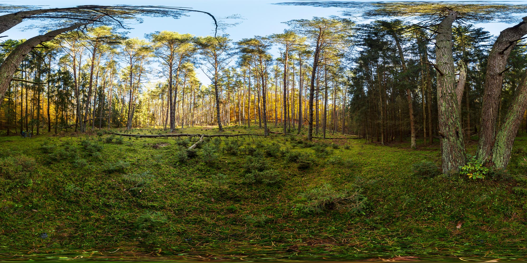 Panorama  Serrahner Buchenwald - Zeltberge 2