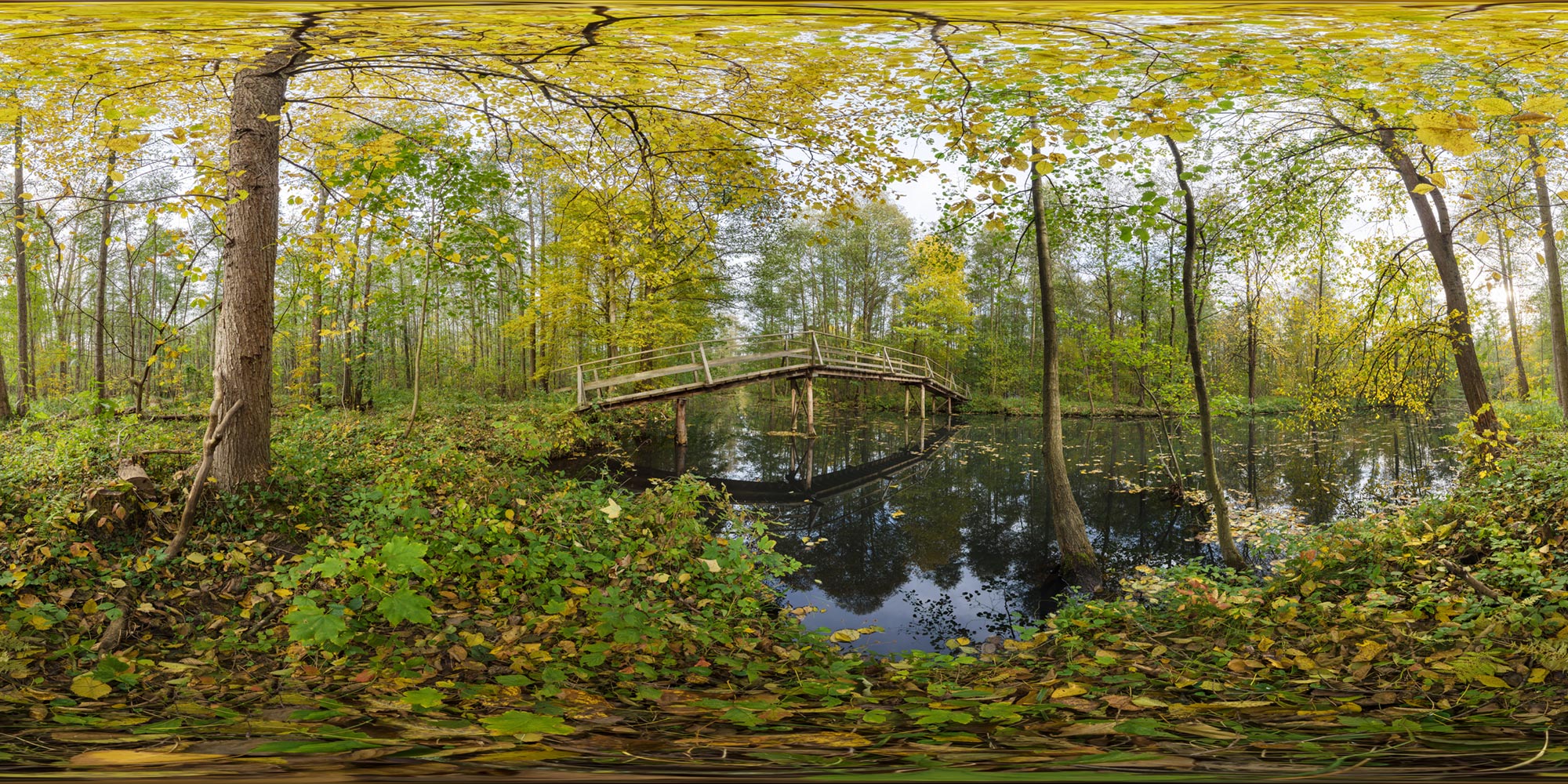 Panorama  Spreewald - Unterer Spreewald - Langes Horstfliess 1