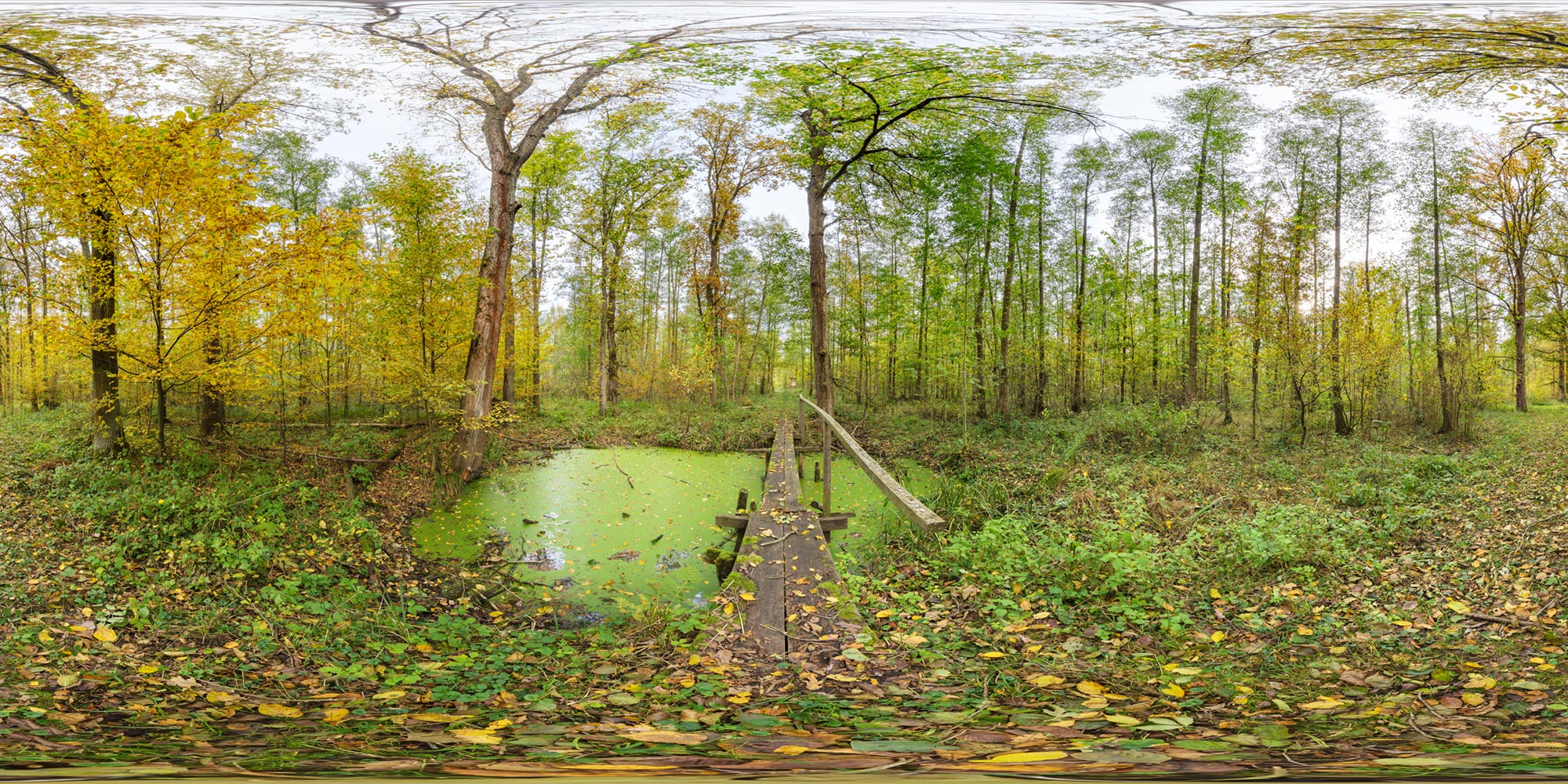 Panorama  Spreewald - Unterer Spreewald - Unterer Puhlstrom 2