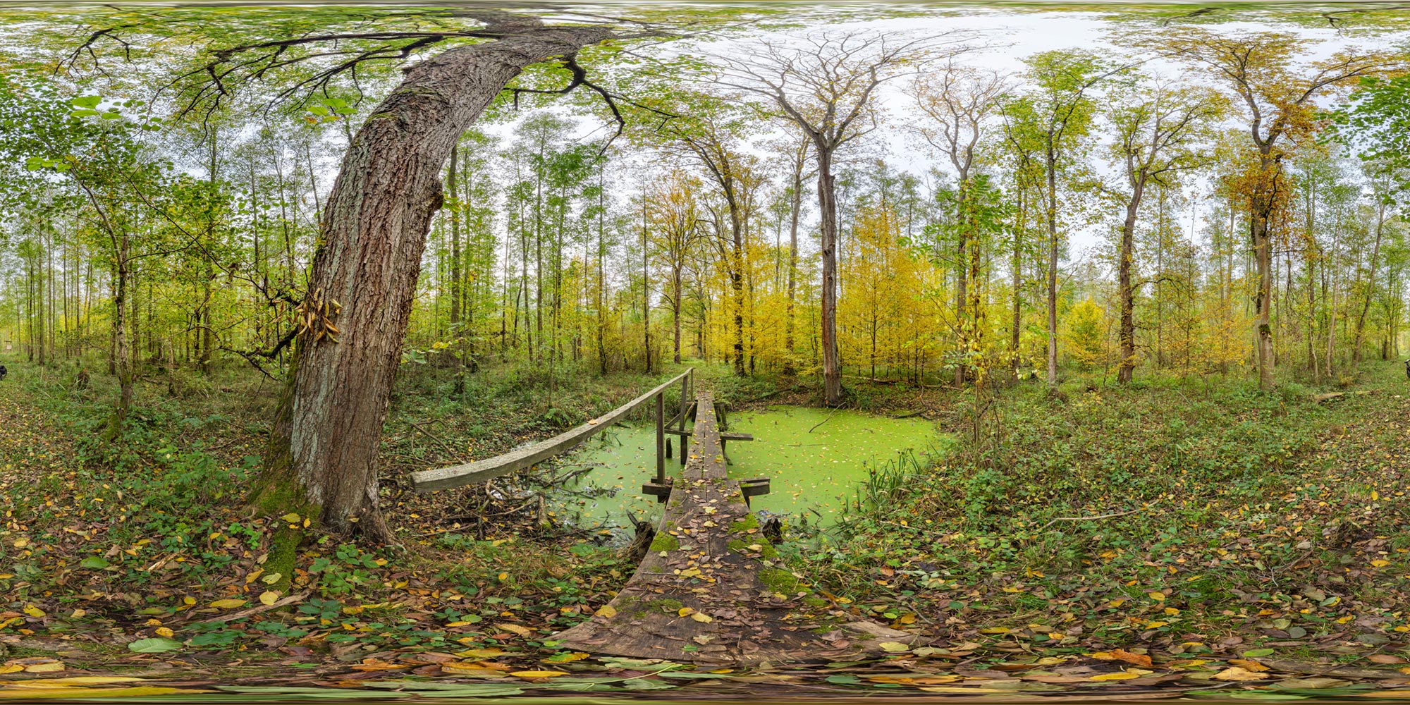 Panorama  Spreewald - Unterer Spreewald - Unterer Puhlstrom 3