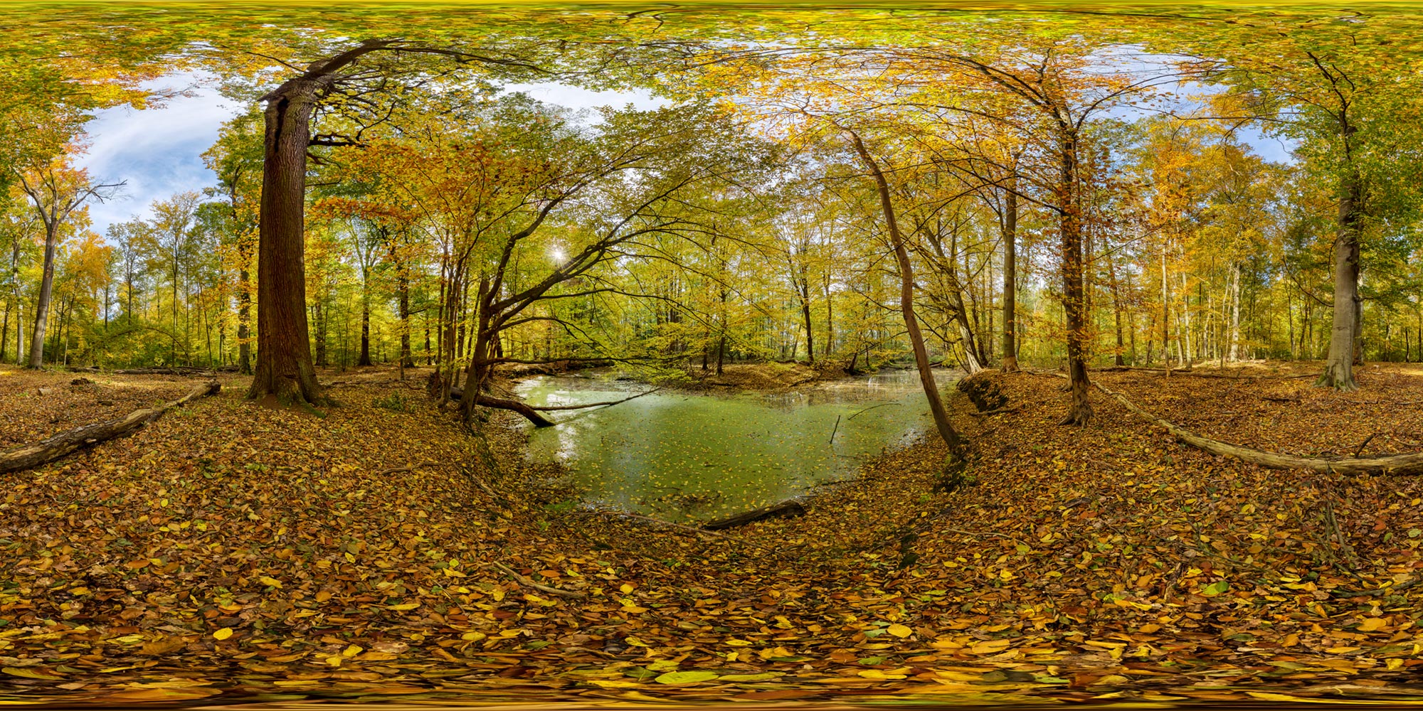 Panorama  Spreewald - Unterer Spreewald - Wasserburger Spree 1