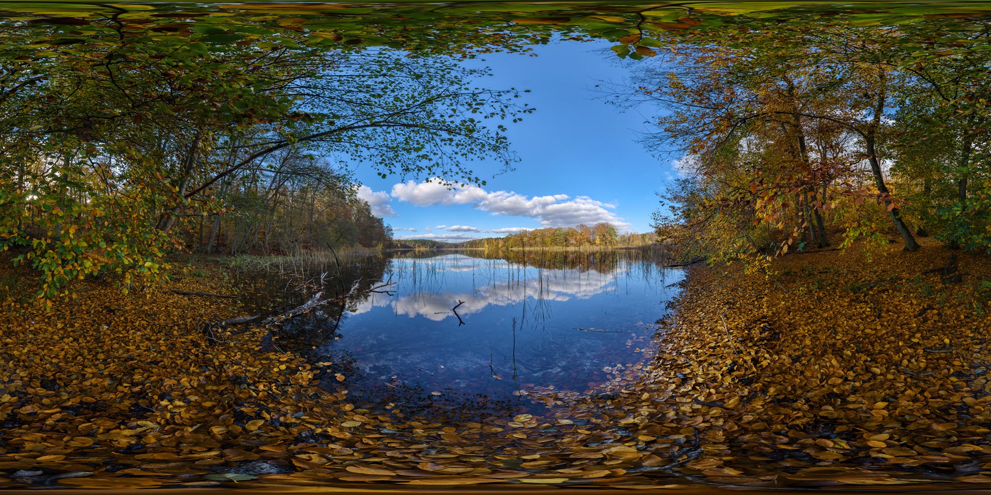 Panorama  Stechlin-Ruppiner Land - Großer Glietzensee - Westufer