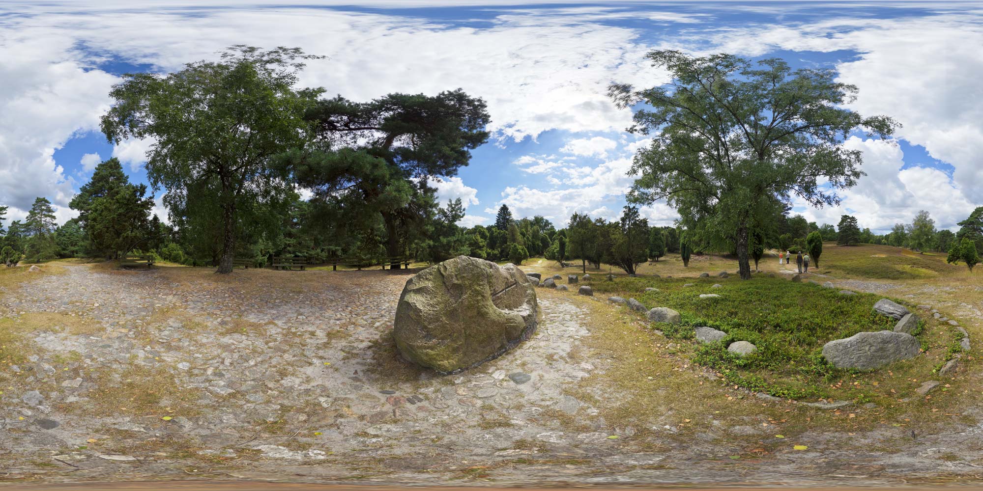 Panorama  Lüneburger Heide - Tietlinger Heide - Lönsgrab