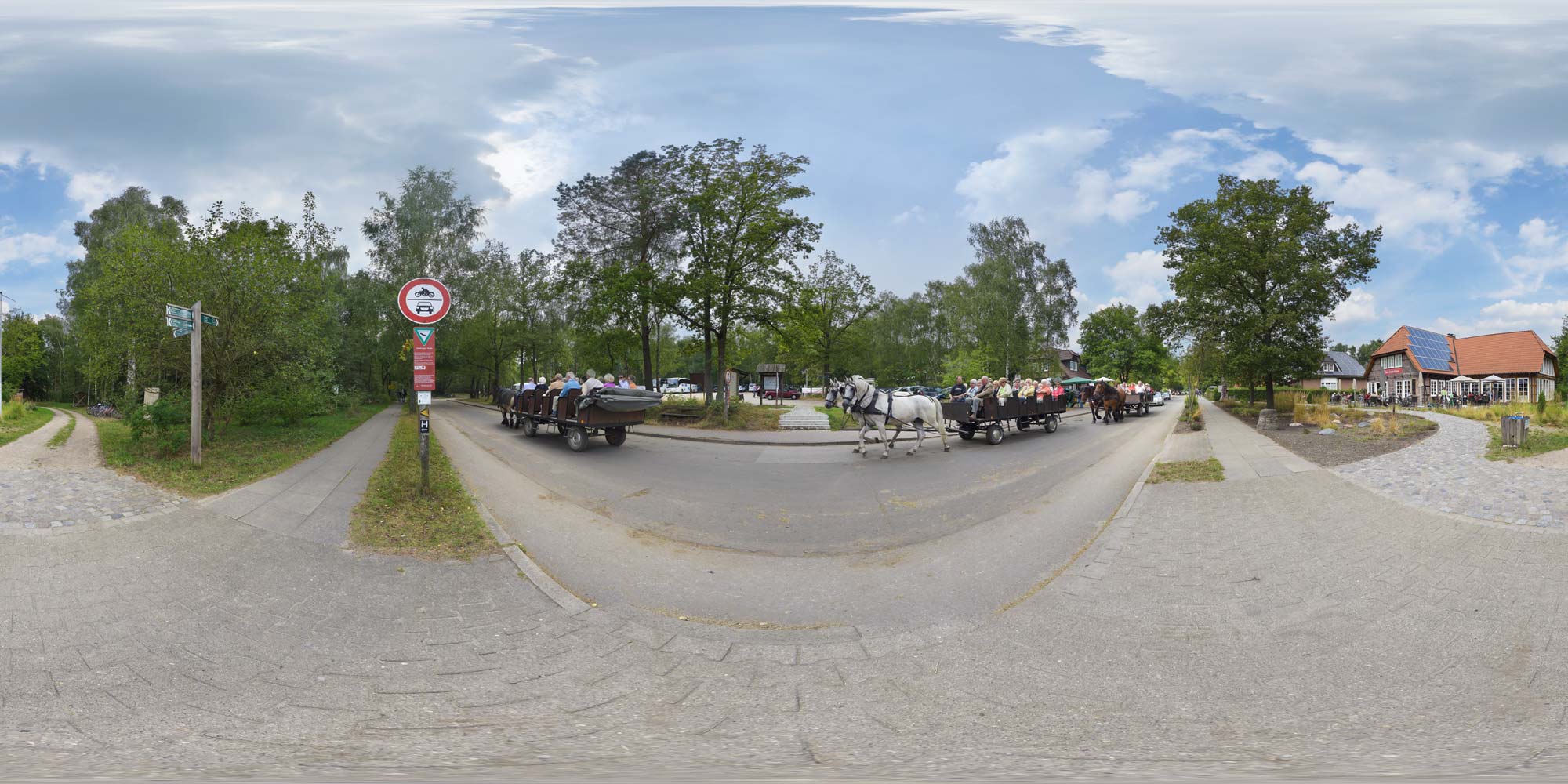 Panorama  Lüneburger Heide - Undeloh - Zufahrt Lüneburger Heide