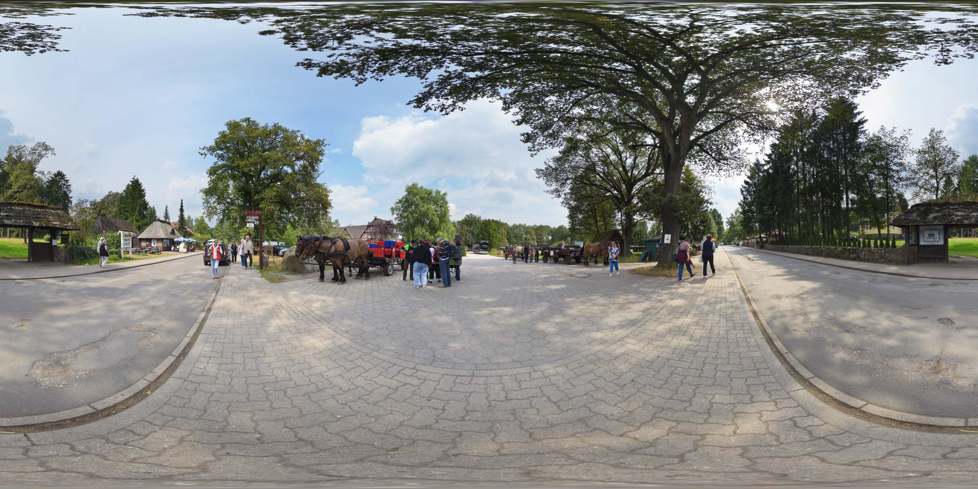Panorama  Lüneburger Heide - Undeloh - Kutschenabfahrt